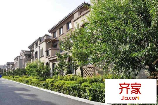 隆河谷一期園區(qū)綠化(2015-8-27)