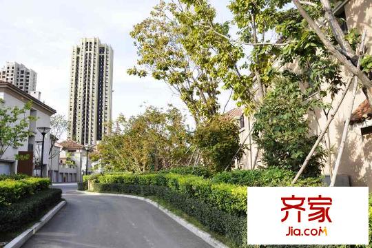 隆河谷一期園區(qū)綠化(2015-8-27)