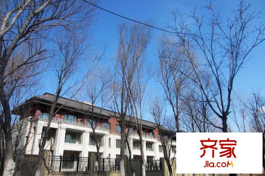 華茂?央墅樹木實景（2015-4-1）