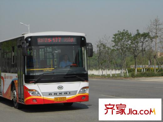 金河灣配套公交177路