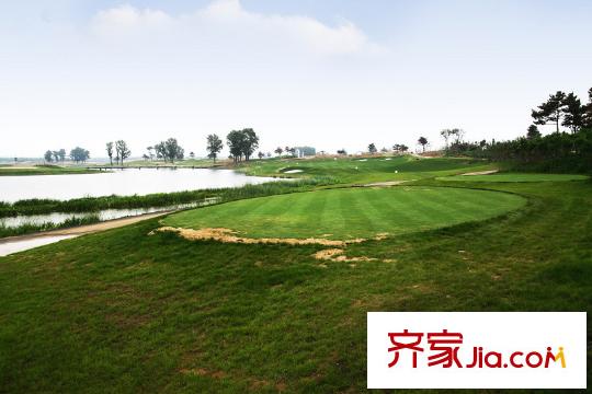 新湖仙林金谷周邊高爾夫球場(chǎng)