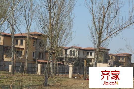 沈陽龍湖香醍漫步別墅（2015-4-23）