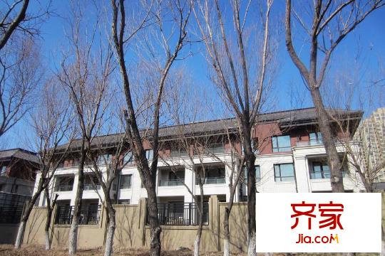 華茂?央墅央墅實景（2015-4-1）