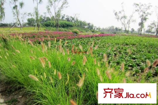 首創(chuàng)光和城周邊莫子山公園
