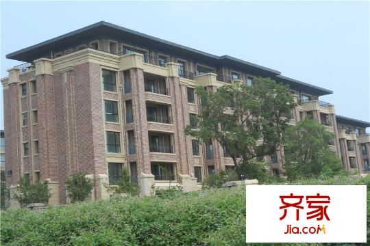 新湖仙林金谷水岸官邸進度（2015-8-6）