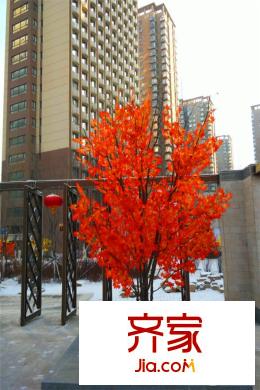 中央學(xué)府北側(cè)入戶大門外（2015-12-28）