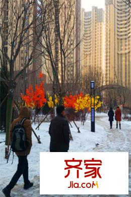 中央學(xué)府園區(qū)西側(cè)園區(qū)跑道（2015-12-28）