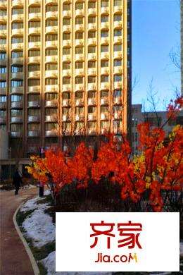 中央學(xué)府園區(qū)內(nèi)（2015-12-28）