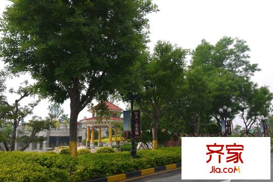 恒大山水城小區(qū)綠化(2015-07)