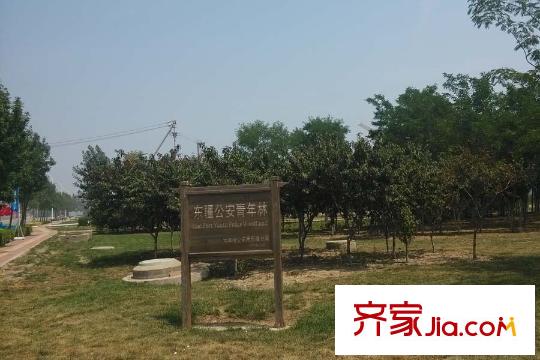 京能海與城周邊的東疆公安青年林