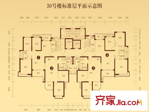 恒大山水城30號樓標準層平面圖 10室8廳5衛(wèi)1廚