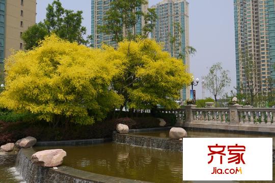 恒大山水城小區(qū)綠化(2015-07)