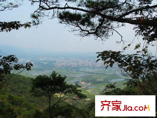 鼎湖森鄰周邊環(huán)境