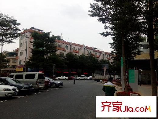 勒流碧桂園項(xiàng)目周邊街道（2015-11-1）
