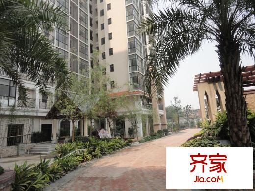 錦明華府小區(qū)綠化效果圖 2013-4-15