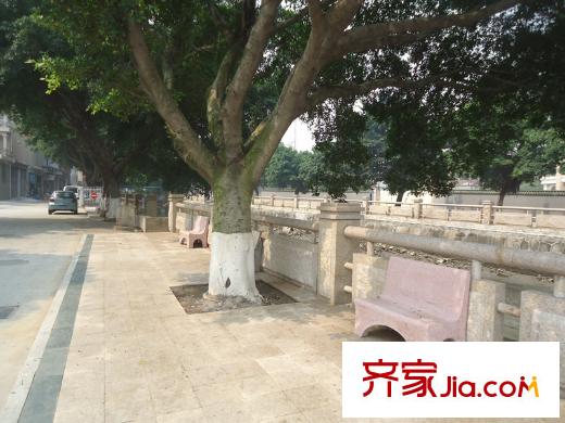 錦明華府周邊配套 街道 2013-4-15