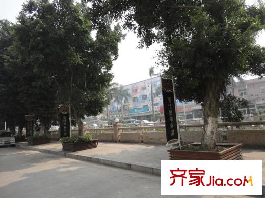 錦明華府周邊配套 街道 2013-4-15