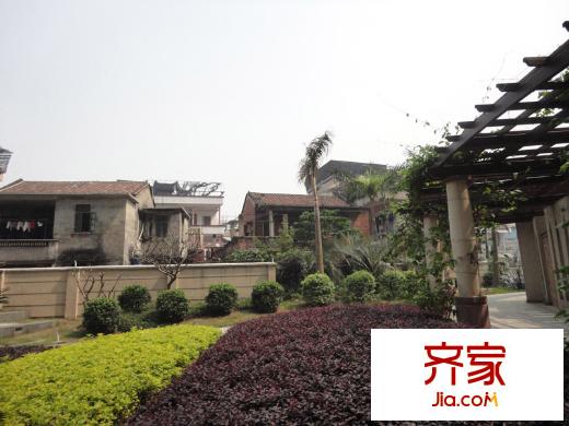 錦明華府小區(qū)綠化 2013-4-15