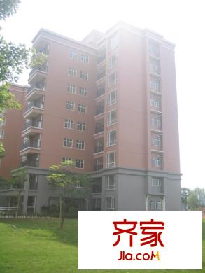 黃金花園黃金苑外立面2014-9-23