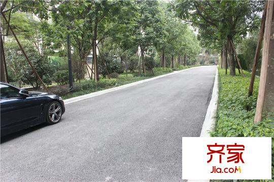 順德華僑城?天鵝湖小區(qū)園林實(shí)景（2015-11-10）