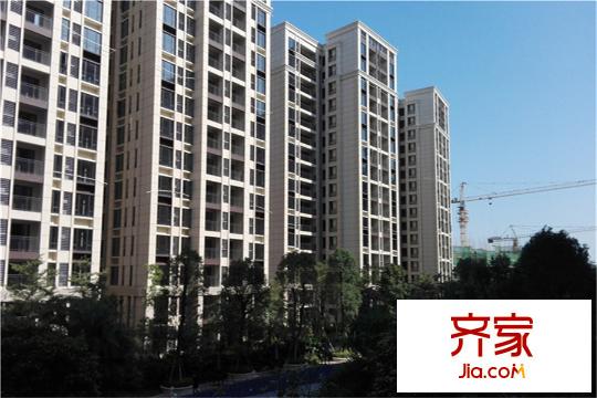 招商?依云華府園林實(shí)景2015-12-17