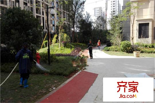 招商?依云華府園林實景2015-12-17