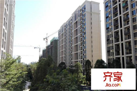 招商?依云華府園林實景2015-12-17