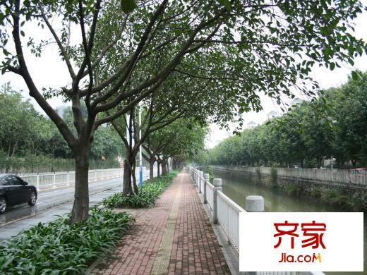 萬(wàn)科水晶城小區(qū)綠化2013-4-29