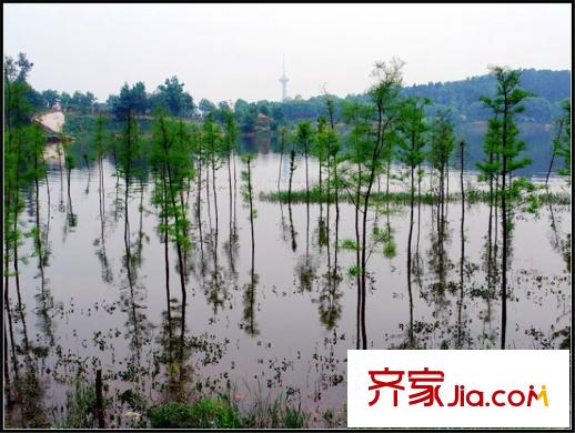 朗寧郡周邊配套-東湖公園