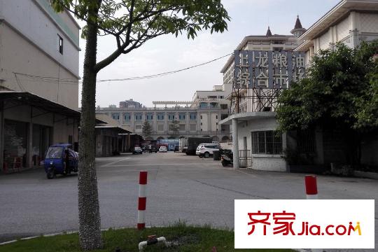 碧桂園?華府（龍江）上龍糧油綜合市場