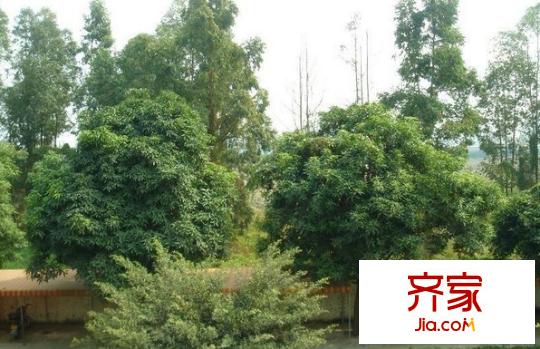 永豐花園外景圖