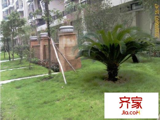 新怡平方米外景圖