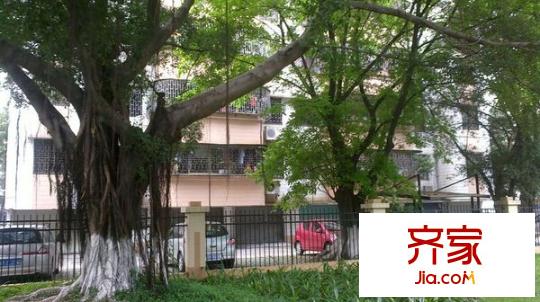 十一街區(qū)外景圖