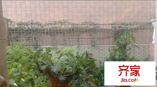 福安花園外景圖
