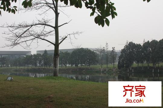 保利紫山小區(qū)實景（2014.3.17）