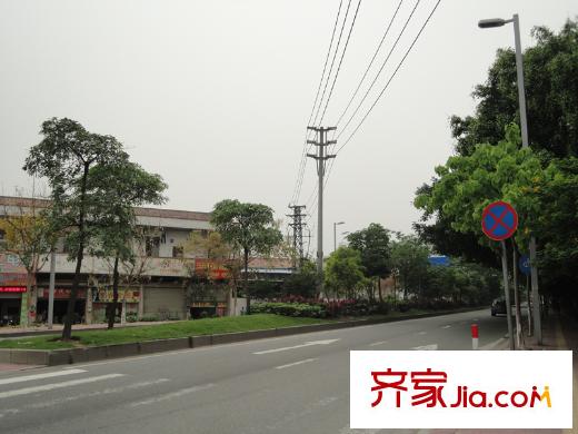 羅村花半里周邊路況