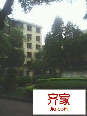 牡丹村外景圖 