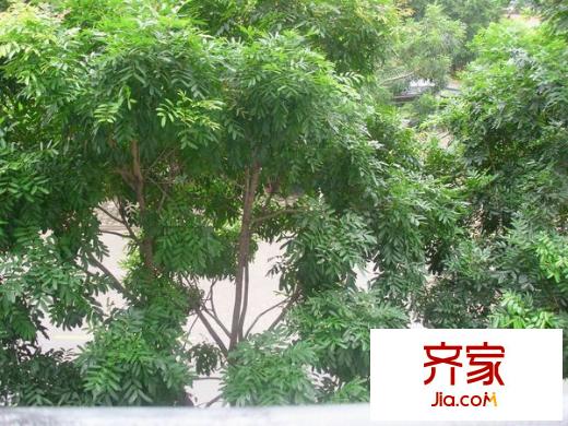 宏凱軒外景圖佛山  