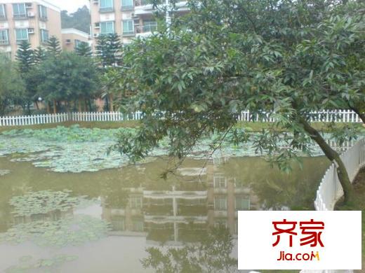 順德碧桂園北區(qū)外景圖