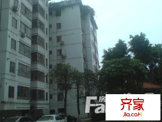 桂園東小區(qū)外景圖