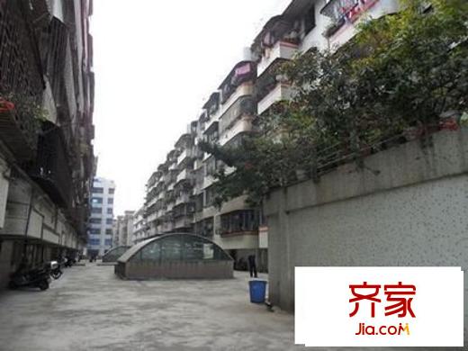 南桂東路小區(qū)外景圖 