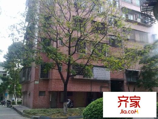 南桂東路小區(qū)外景圖 