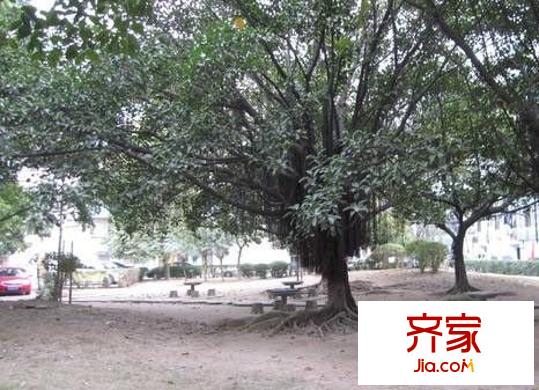 桂畔花園外景圖 