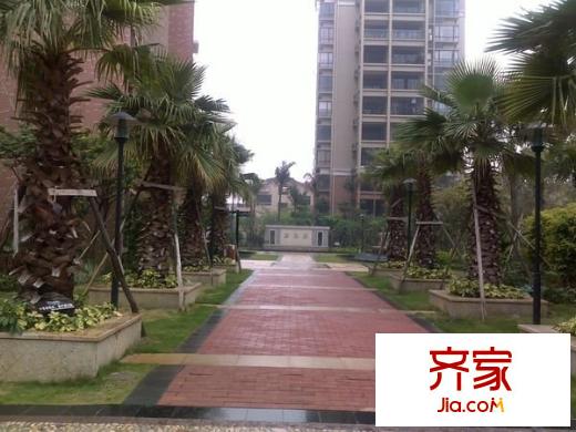 樵山美地外景圖 