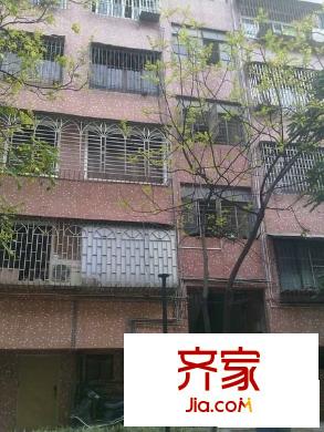 南桂東路小區(qū)外景圖 