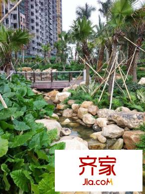 金名都小區(qū)實(shí)景2013-04-02