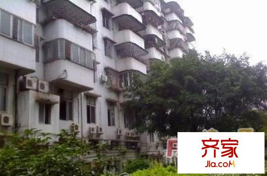 桂華中學(xué)教師村外景圖