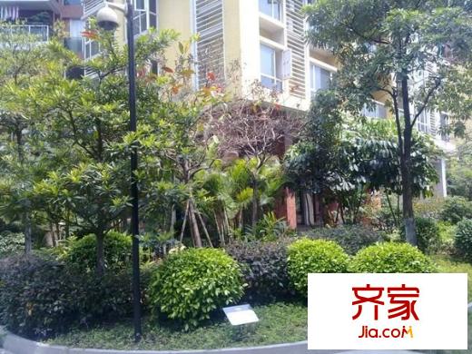 綠茵花園外景圖 