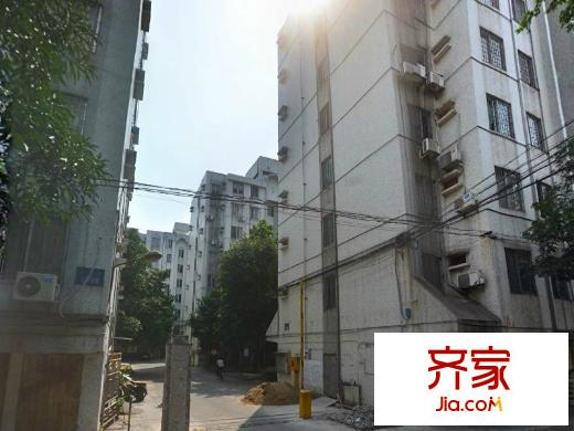 桂華中學(xué)教師村