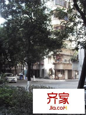 佳景樓外景圖 